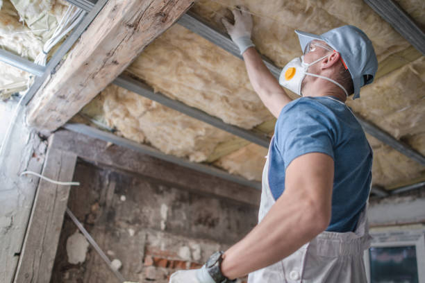 Best Residential Insulation in Northampton, PA
